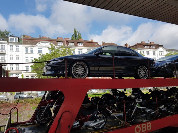 19074682_420358175017392_1751456202_o