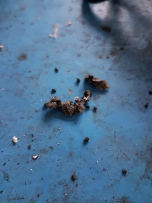 19576830_10212635508378179_770987916_o